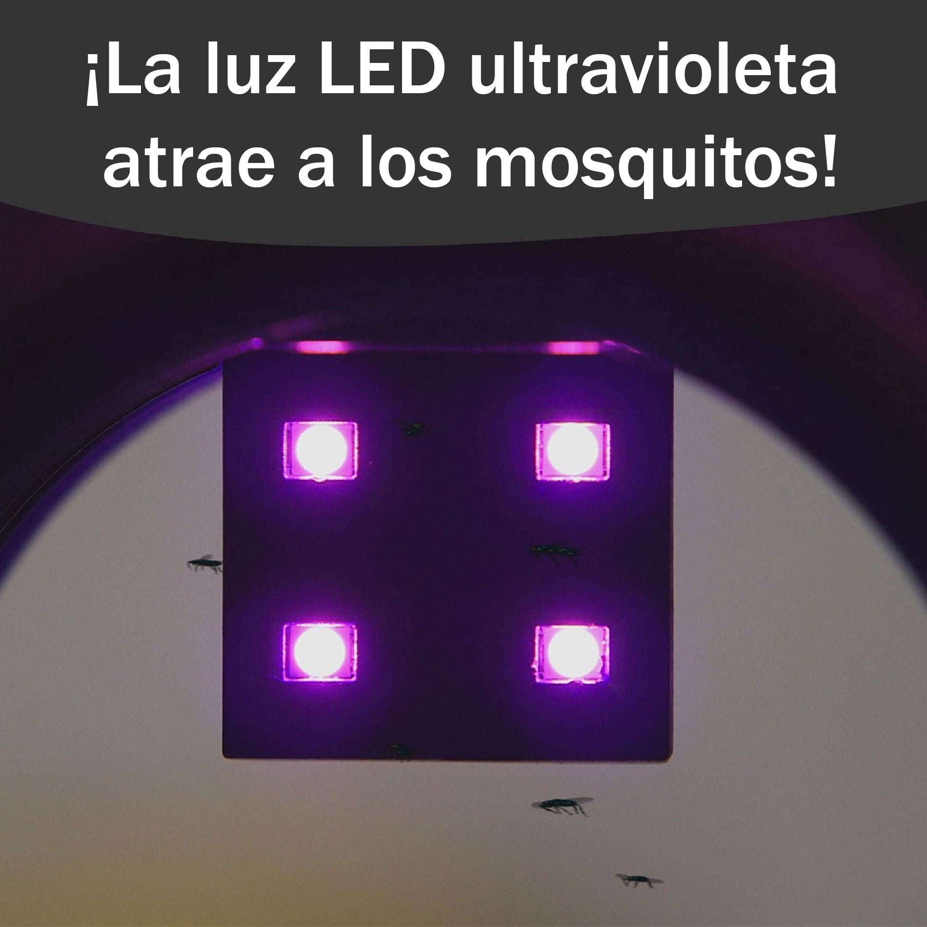 Lampara Mata Zancudos Mosquitos Luz UV