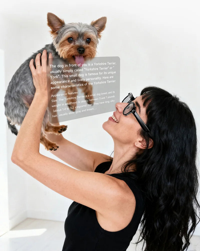 Gafas inteligentes 4K con IA